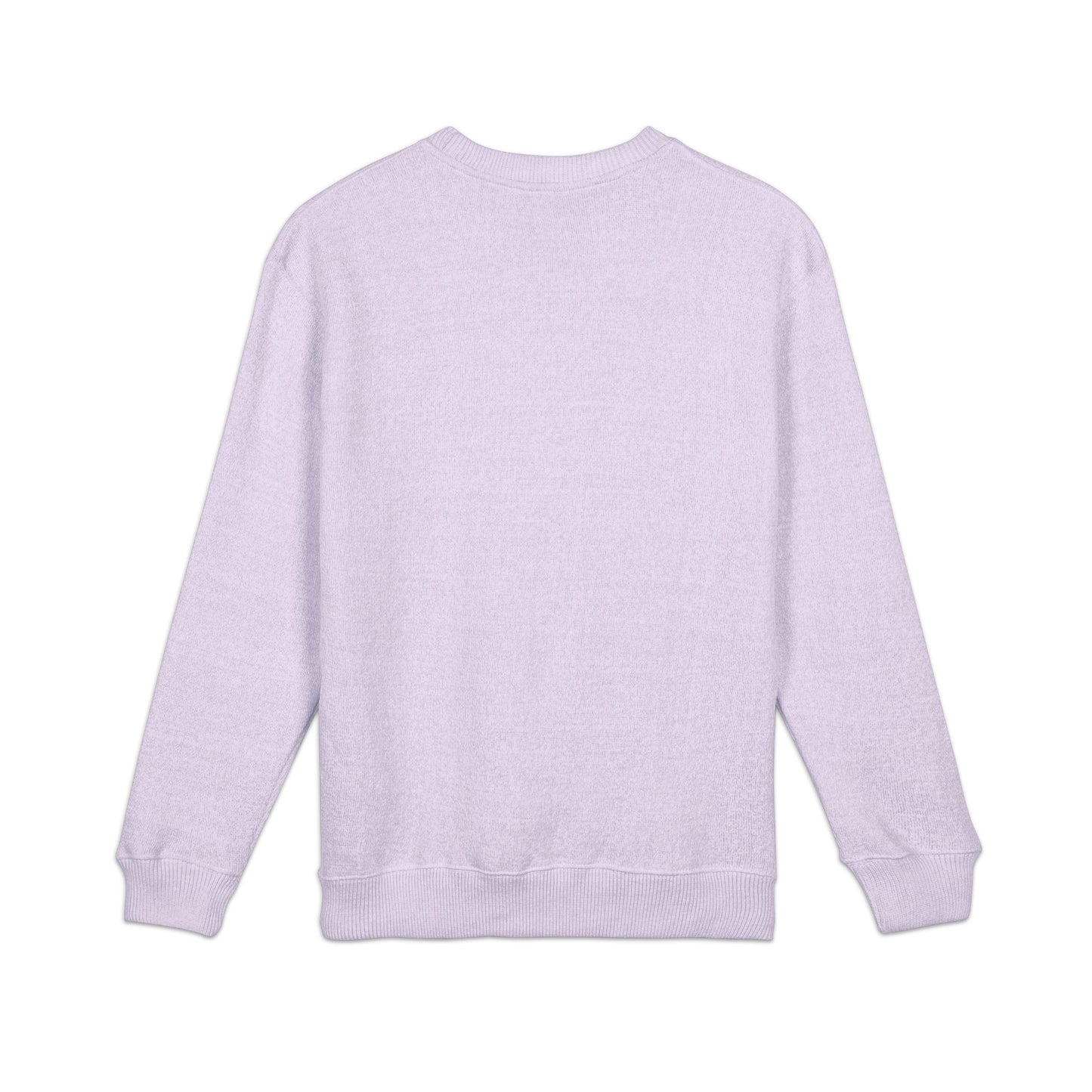 Embroidered Raccoon Chest Crewneck Sweatshirt — Nantucket-Inspired Casual Pullover