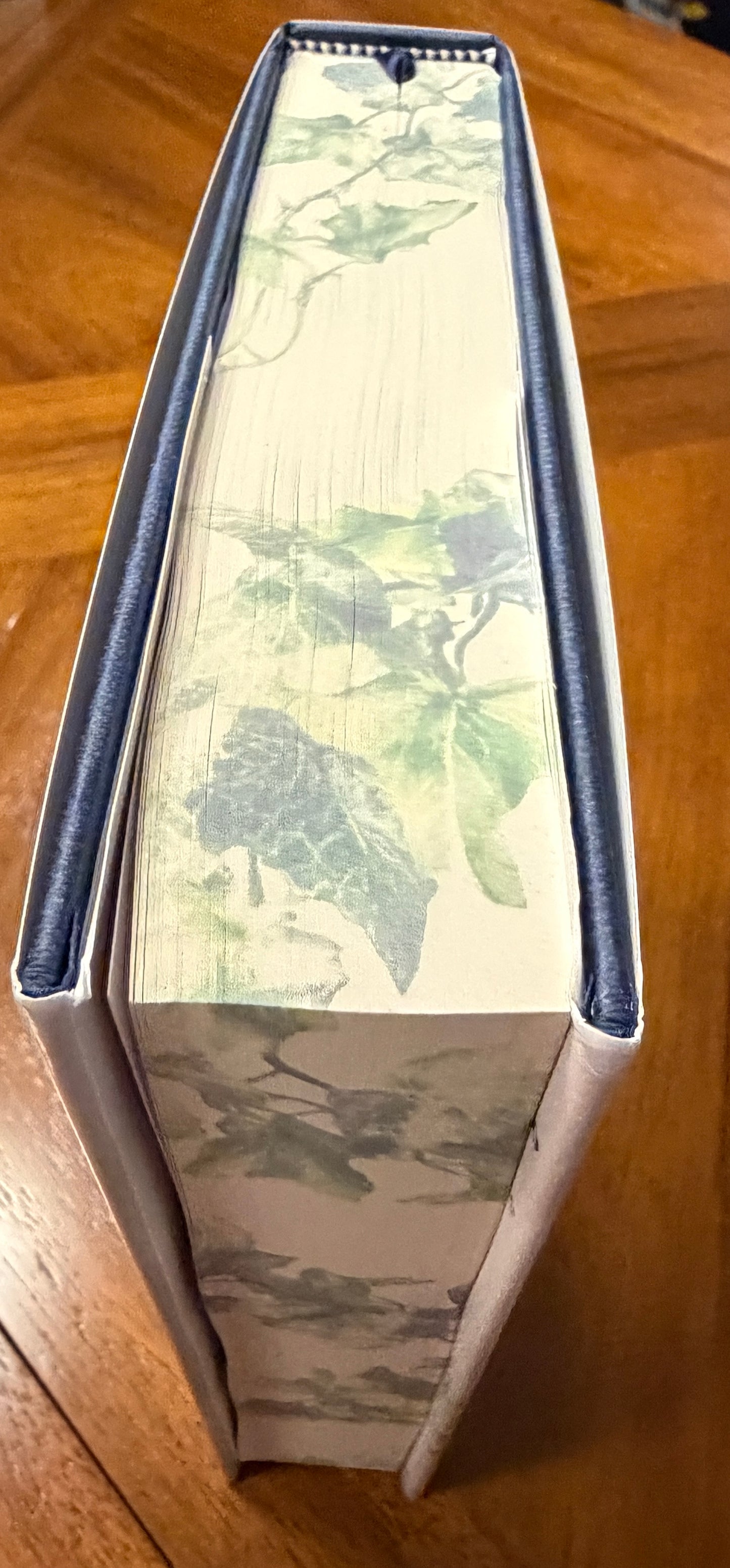 Escala's Wish (Collector's Edition)